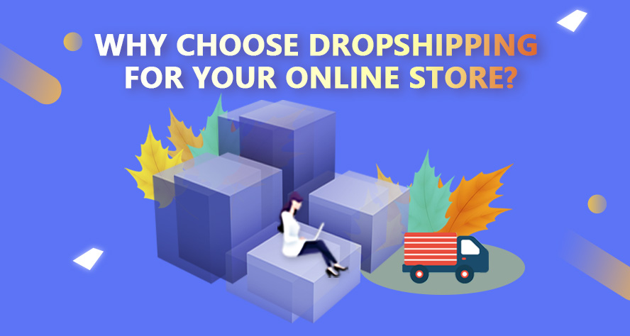 why choose dropshipping for your online store