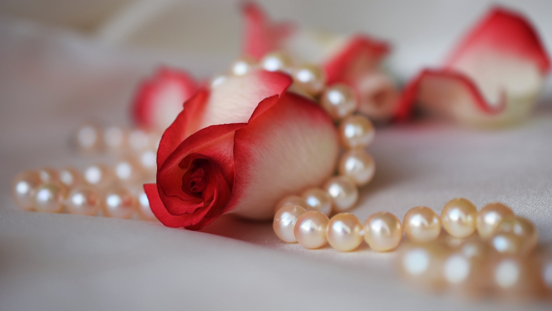 fashion pearls necklace