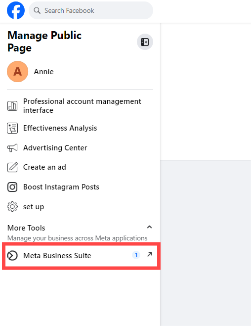 Create or log in to a Facebook Business Page. Click on "Meta Business Suite" on the left.