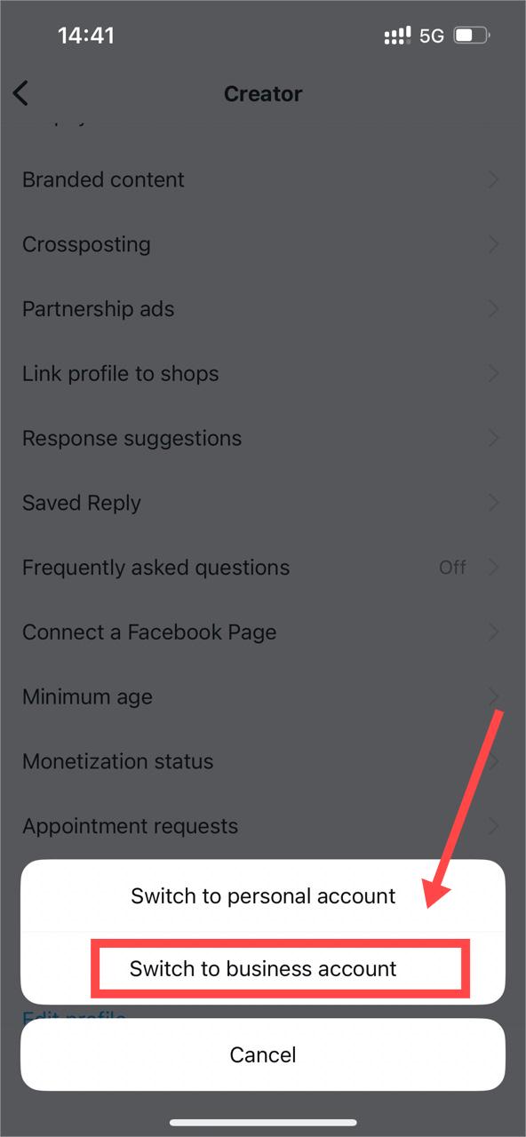 select "Switch to business account" on ins